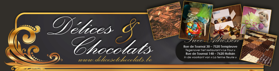 Delices et chocolats - Chocolaterie Belgique - Tournai - Templeuve - Hollain