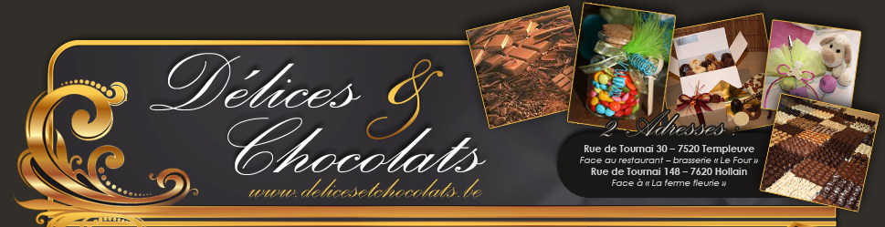 Delices et chocolats - Chocolaterie Belgique - Tournai - Templeuve - Hollain
